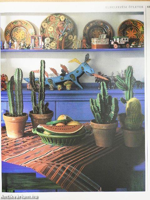 Kaktuszok és pozsgások