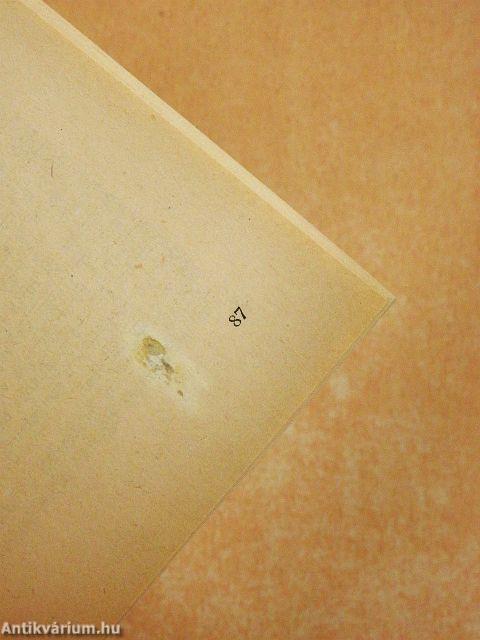 Az erdőntúli veszedelem