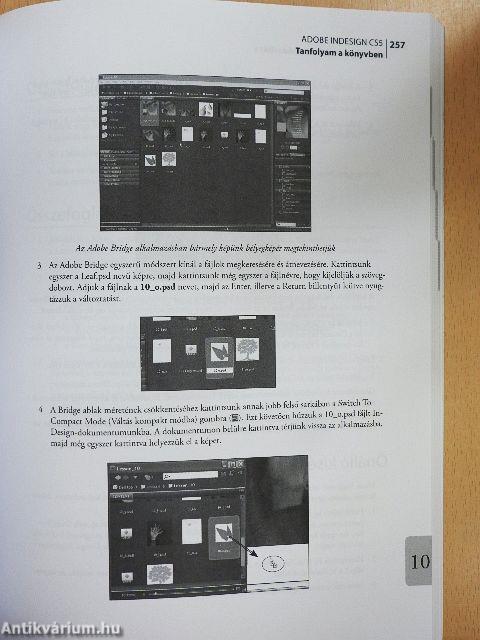 Adobe InDesign CS5