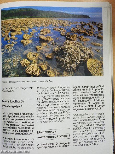 Mindent tudni akarok