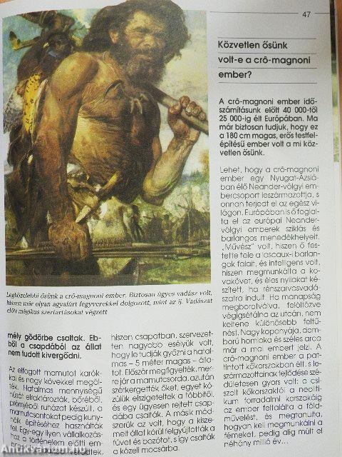 Mindent tudni akarok