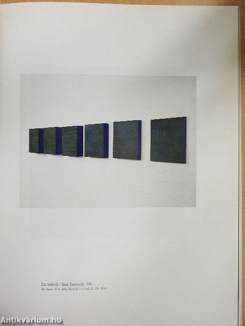 Yuko Shiraishi - Soós Tamás