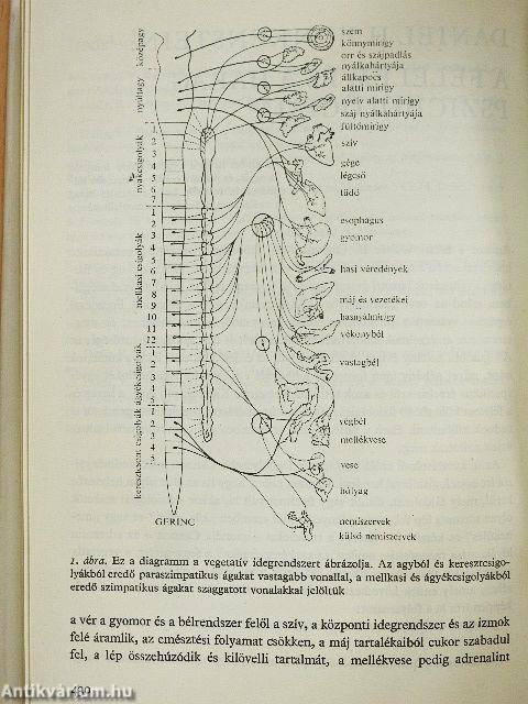 Típustanok és személyiségvonások