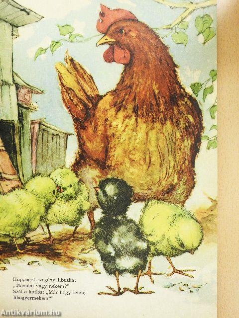 Az elveszett kisliba