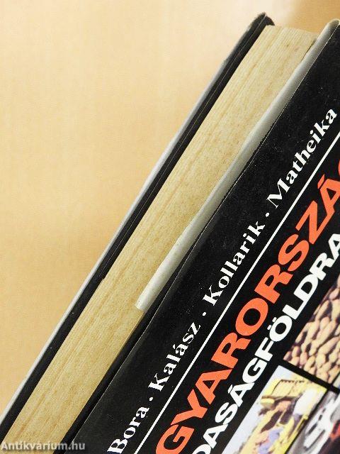 Magyarország gazdaságföldrajza