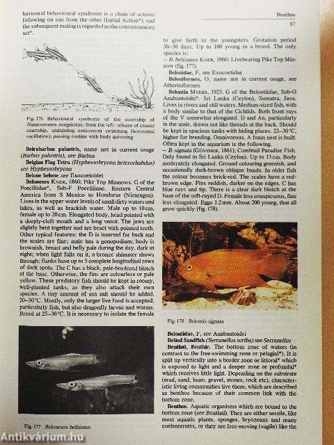 The Aquarium Encyclopedia