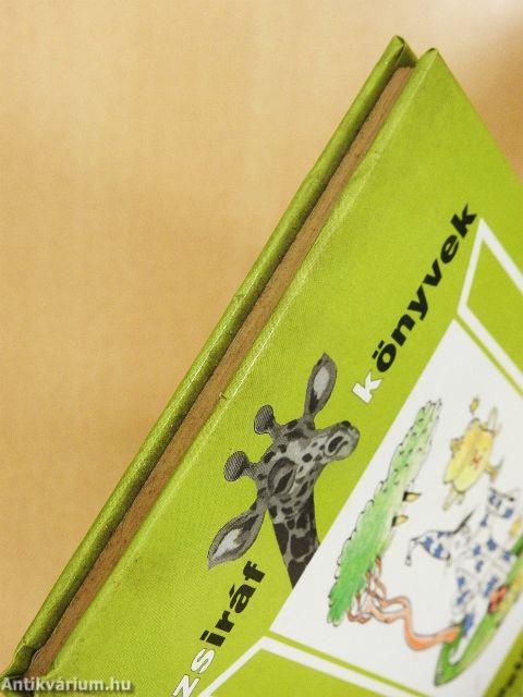 Kalandjaim a Mágusképzőn