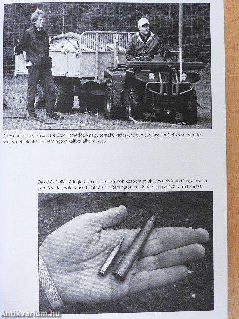 Kívánatos kaliberek