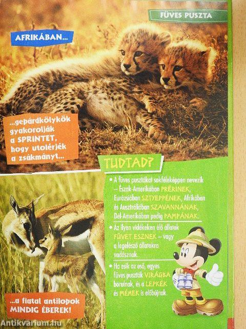 Disney Állati Szafari 2.
