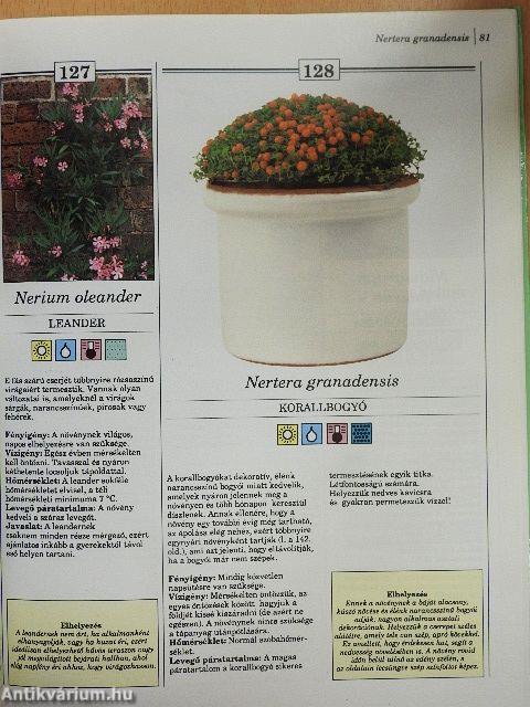 200 kedvelt szobanövény termesztése és ápolása