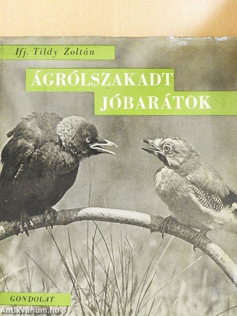 Ágrólszakadt jóbarátok