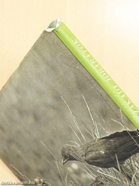 Ágrólszakadt jóbarátok