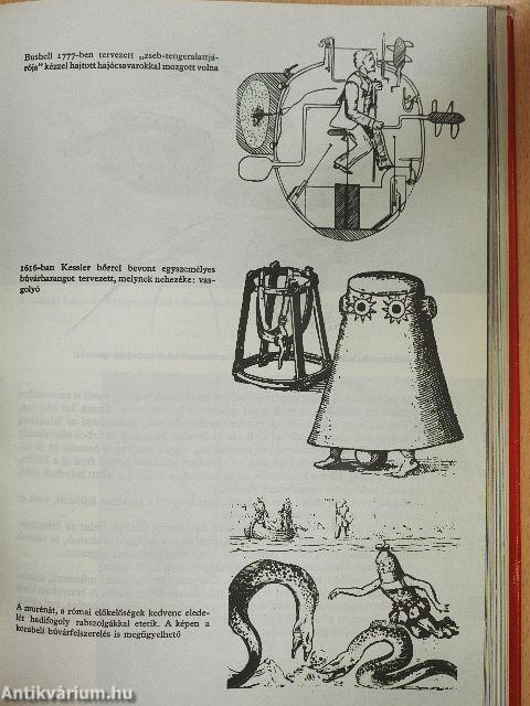 Lányok Évkönyve 1971