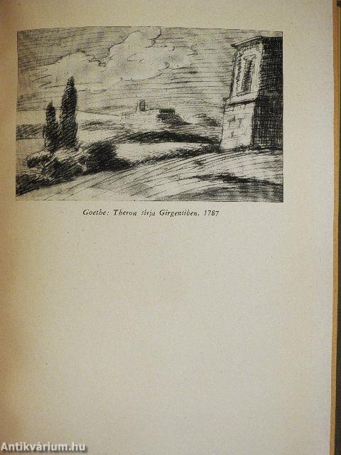 Márvány és babér