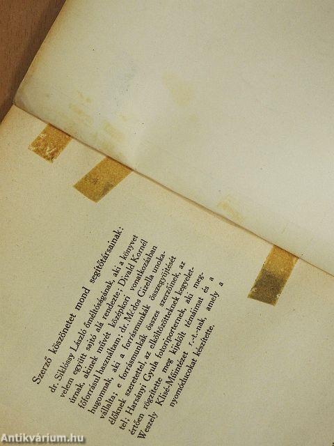 Emlék Budavárából