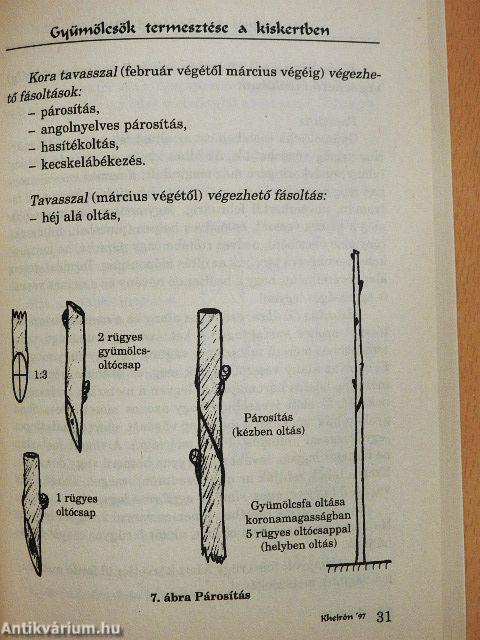 Gyümölcsök termesztése a kiskertben