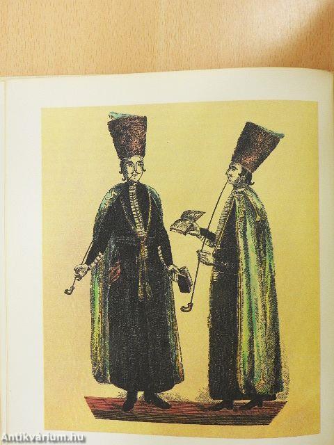 A bagolyvár és lakói