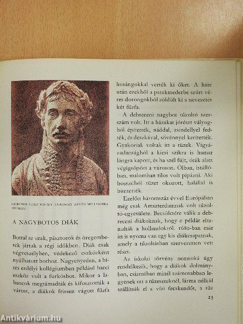 A bagolyvár és lakói