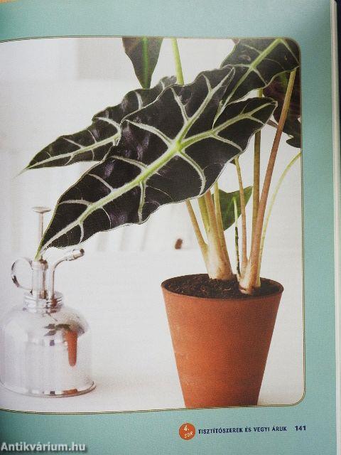 Filléres megoldások