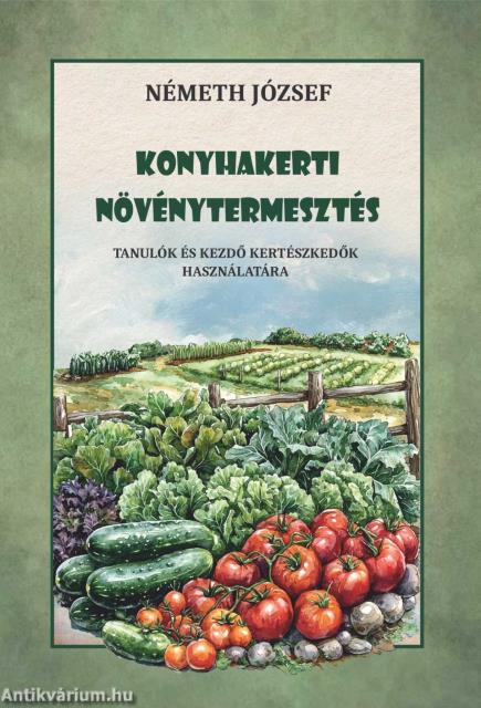 Konyhakerti növénytermesztés