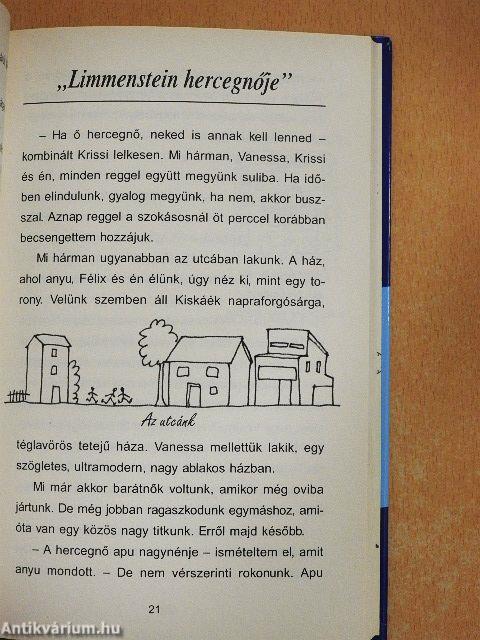 Segítség, hercegnő lettem