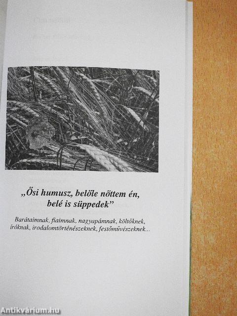 Sivatagi szélben