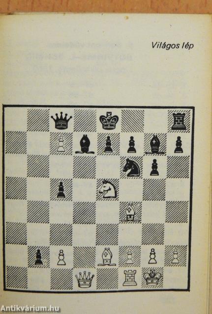 Sakk-világbajnokok (minikönyv)