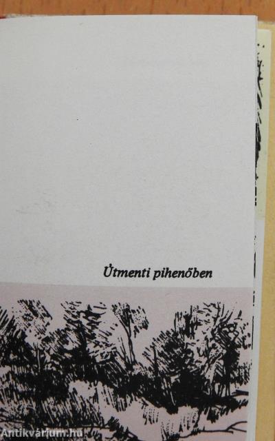 Északi naplóm (minikönyv) (számozott)