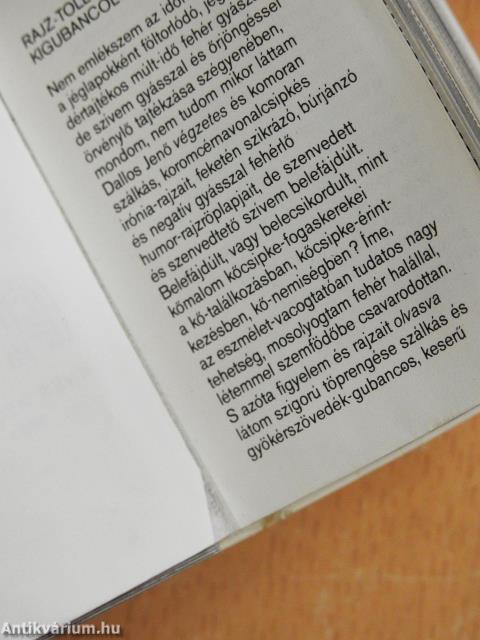 Léniák (minikönyv)