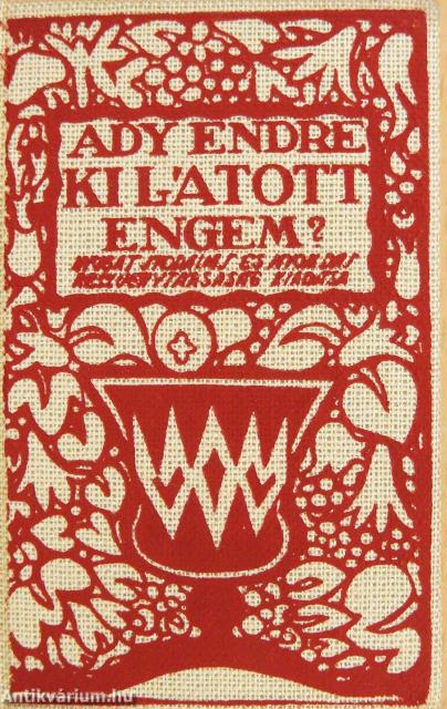 Ki látott engem? (minikönyv)