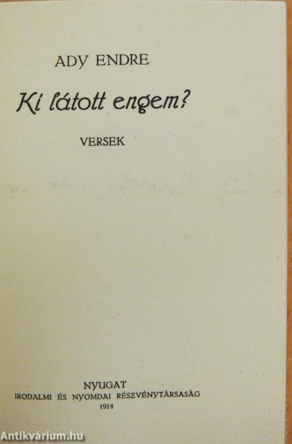 Ki látott engem? (minikönyv)