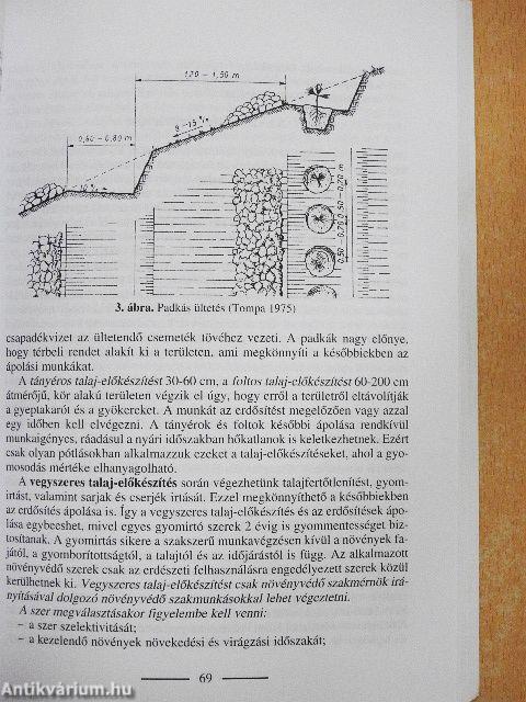 Az erdészmester könyve