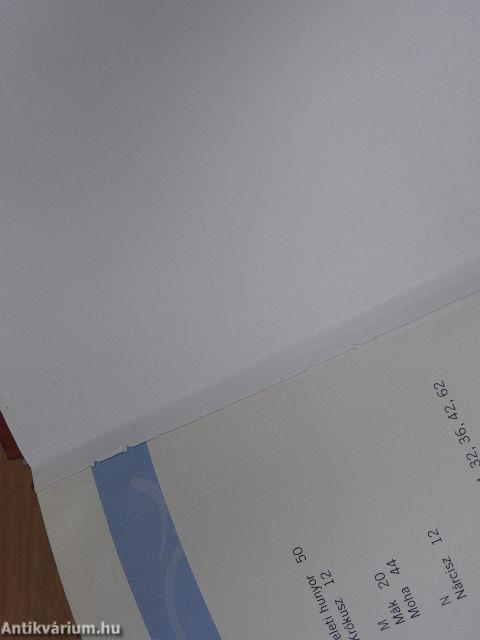 Ünnepi lakásdíszítés