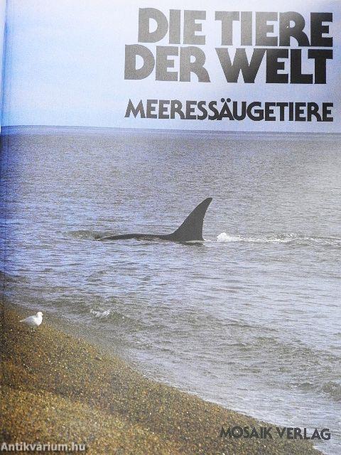 Meeressäugetiere