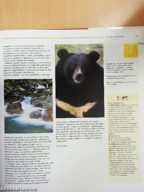 Az emberiség öröksége 4.