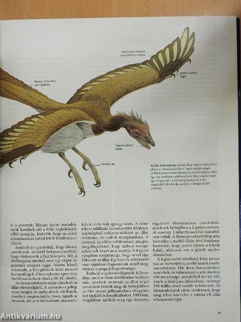 Evolúció