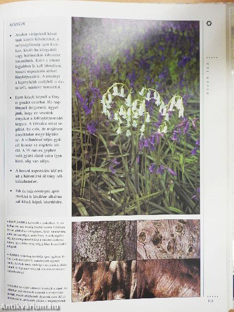 A fényképezés enciklopédiája