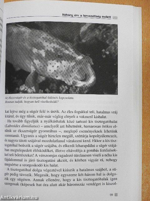 Az intelligens válasz