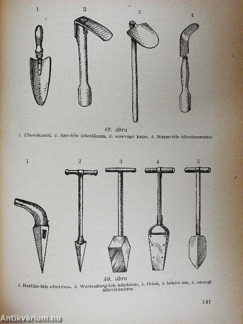 Erdőgazdasági alapismeretek