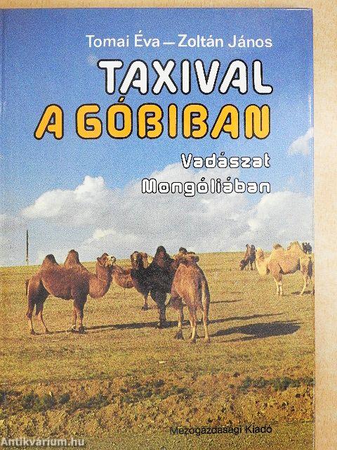 Taxival a Góbiban