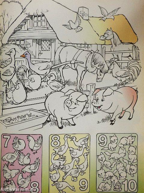 Buci Maci 1998. október