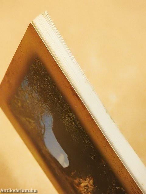 Krisztushoz vezető lépések