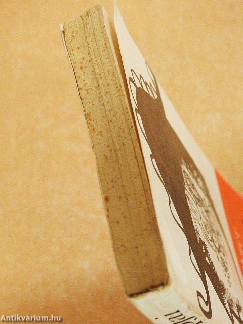 A diplomaták hétköznapjai