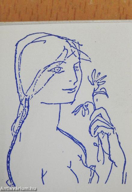 Anna (minikönyv) (számozott)