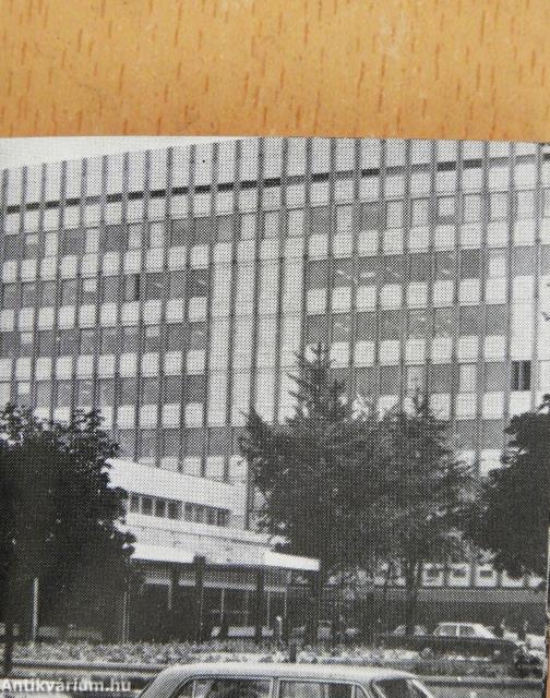 Vallomások Szegedről (minikönyv) - Plakettel