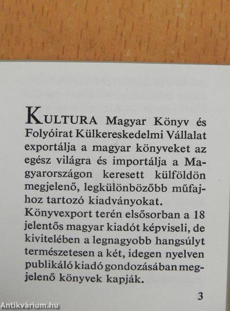 Magyar festészet a XX. században (minikönyv)