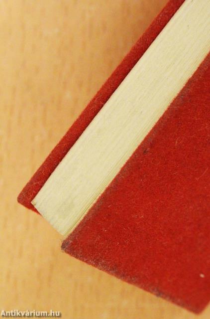 Az 1848/49-es forradalom és szabadságharc legendái I. (minikönyv)