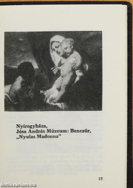 Szabolcs-Szatmár mini útikalauz (minikönyv)