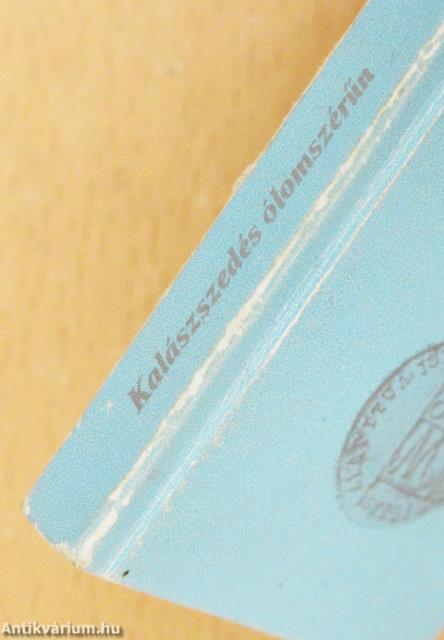 Kalászszedés ólomszérűn (minikönyv)