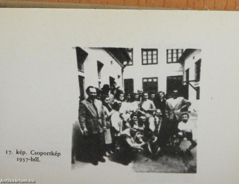 Nyomdák és nyomdászok (minikönyv)